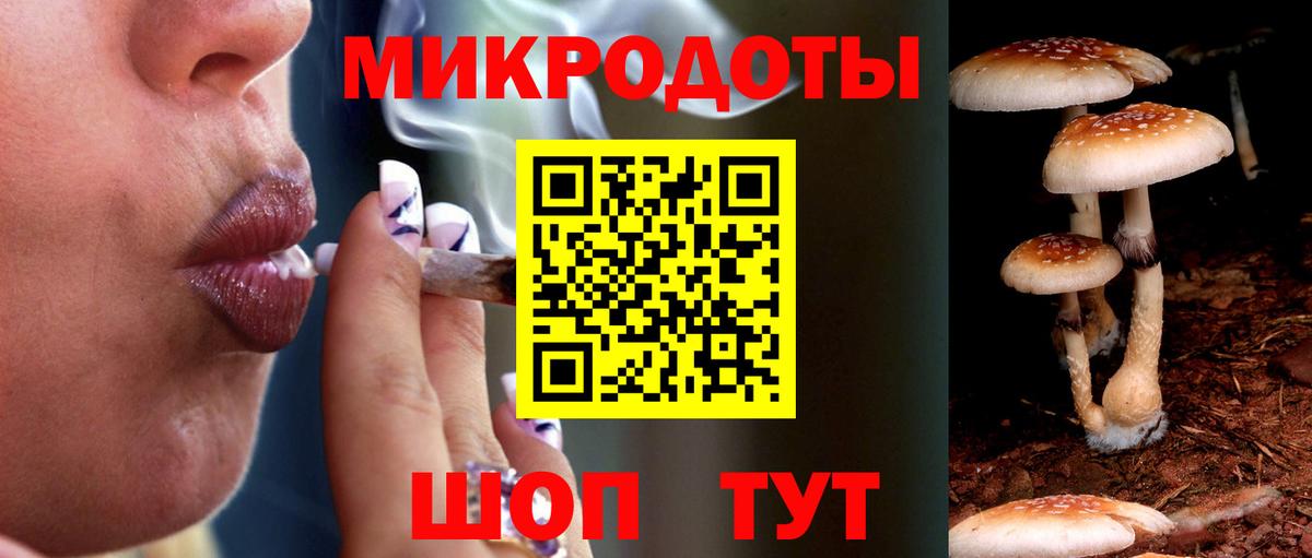 Псилоцибиновые грибы мицелий  Вход с VPN  Буйнакск  Псилоцибиновые грибы Psilocybine cubensis 