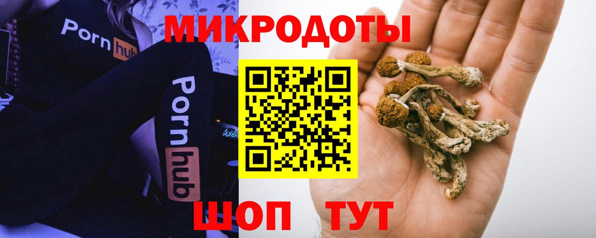 Галлюциногенные грибы Cubensis Буйнакск